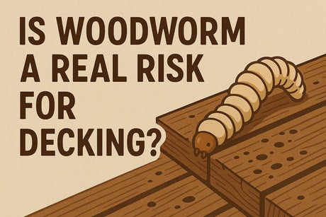 Can Decking in the UK Get Woodworm? Here’s What You Need to Know
