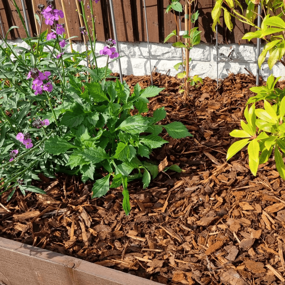 Premium Border Landscaping Bark Mulch