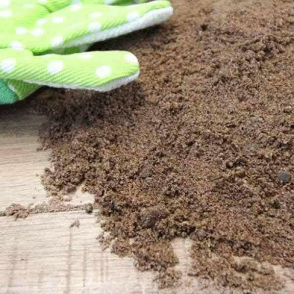 Grit Sharp Sand