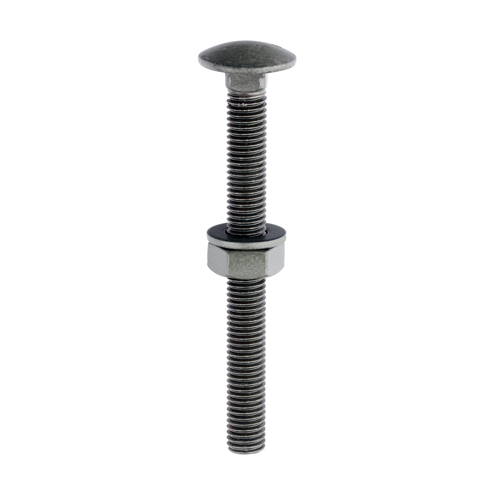 TIMCO Carriage Bolts, Hex Nuts & Form A Washers – Dome – Exterior – Green