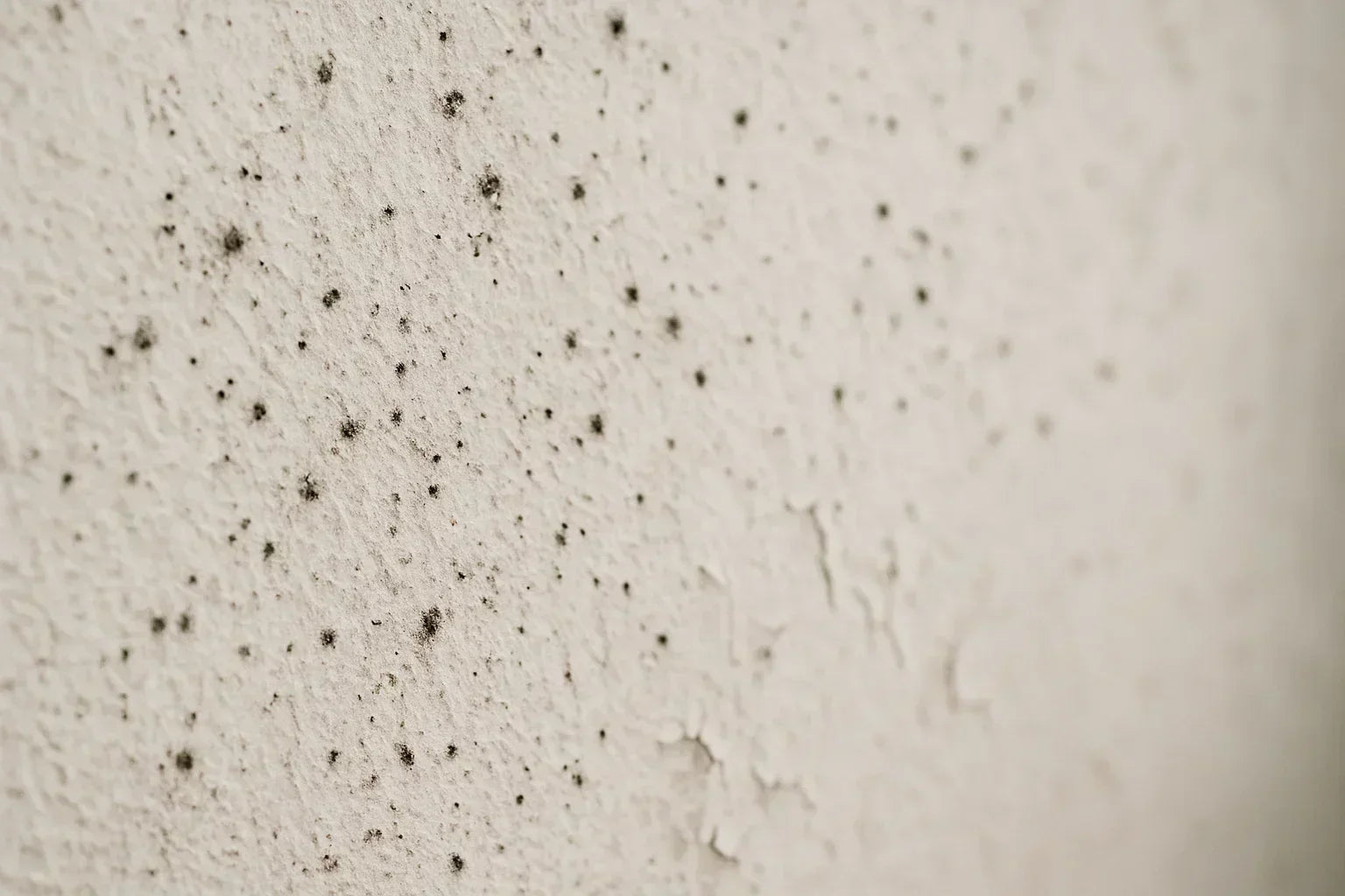 Rising Damp on Walls: Signs, Causes & How to Fix It Rising Damp on Walls: Signs, Causes & How to Fix It