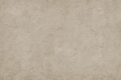 Types of Plaster Used in Construction and Renovation: A Complete Guide