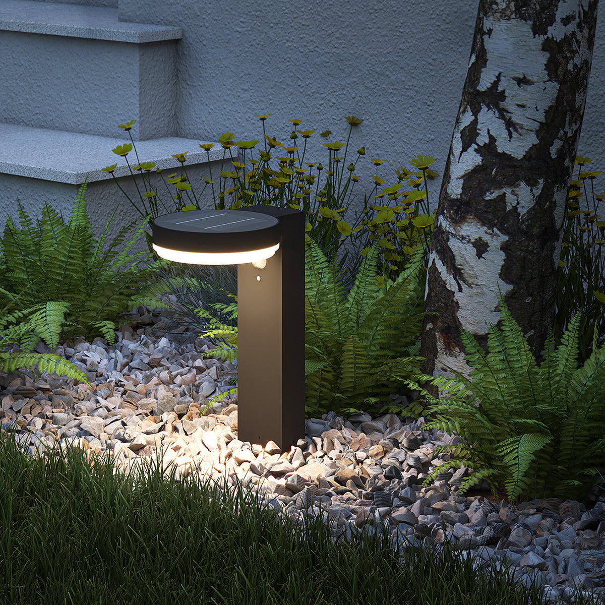Solar Lights & Garden Lights
