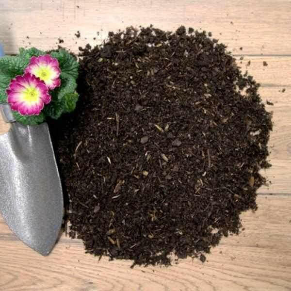 Top Soil