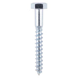 TIMCO Coach Screws – Hex – Zinc