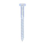 TIMCO Coach Screws – Hex – Zinc