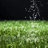 Lawn Dressing Sand for lawns and over-seeding