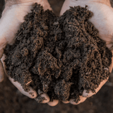 Premium Multipurpose Welsh Topsoil - All-In-One