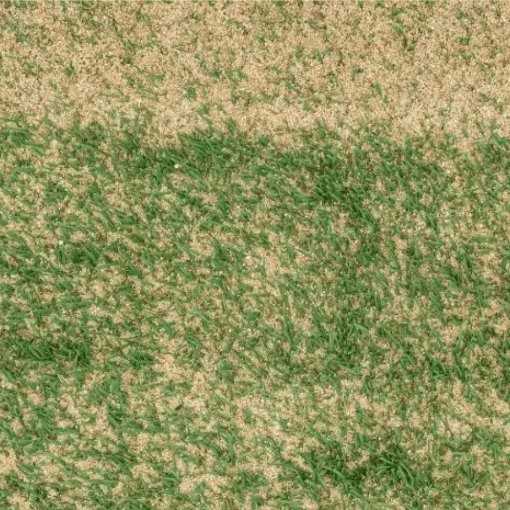 Horticultural Silica Sand