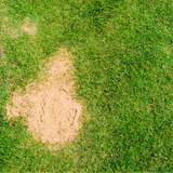 Horticultural Silica Sand