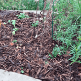 Winter Garden Bark Mulch