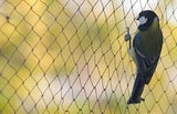 Garden Mile Pond Netting - 2m x 4m Fine Mesh Netting for Plants Garden Bird Protection