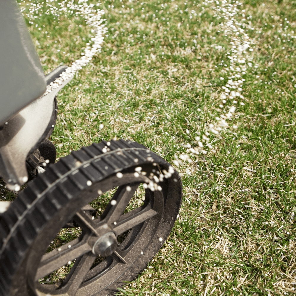 Sports Sand Dressing