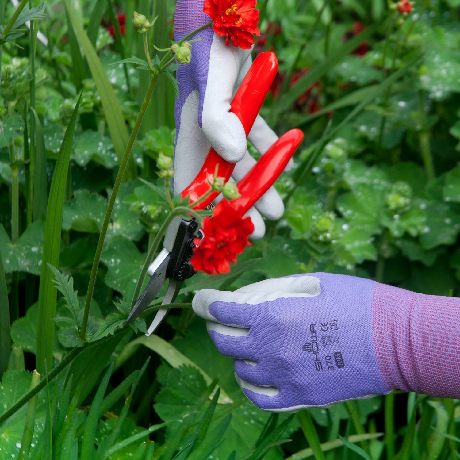 SHOWA 370 Purple Lightweight Gardening Multi Purpose Grip Safety Gloves
