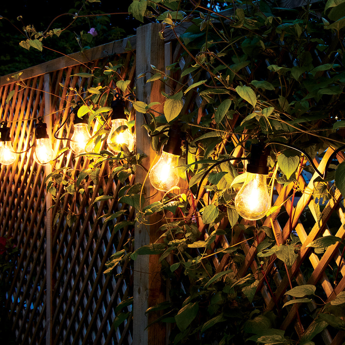 4lite Antheia Solar IP44 Festoon Outdoor String Lights - 5m