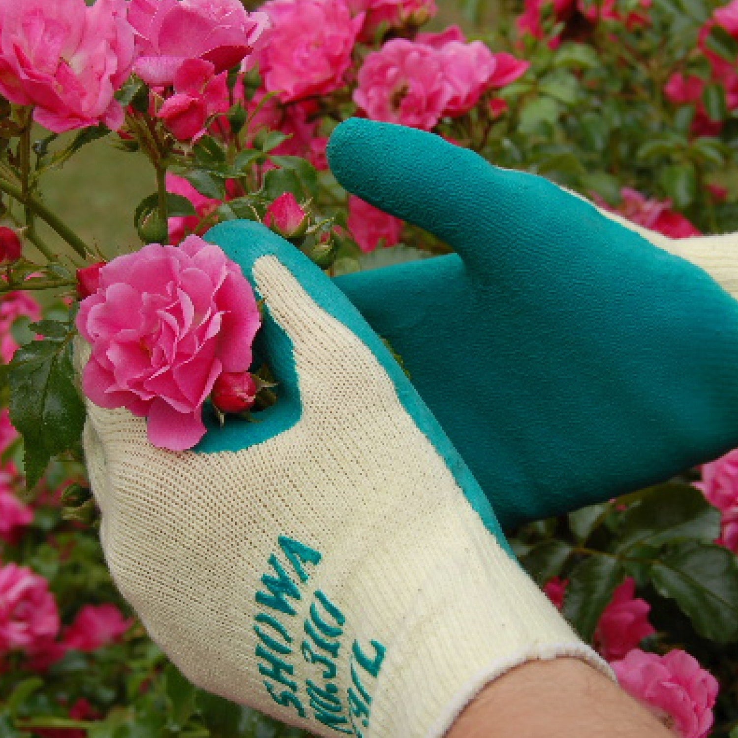 SHOWA 310 Builders Safety Work Gloves with Textured Grip in Green