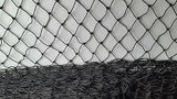 Garden Mile Pond Netting - 2m x 4m Fine Mesh Netting for Plants Garden Bird Protection