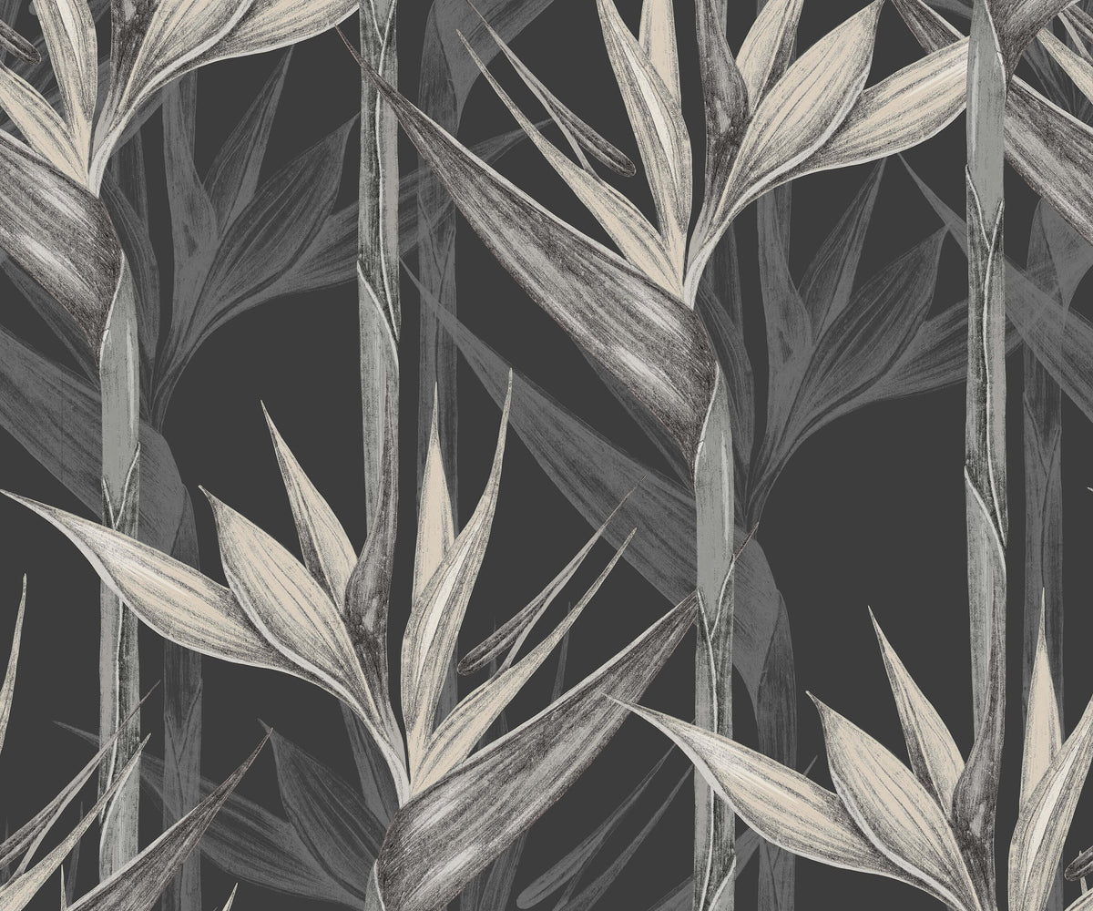 Amazonia Appearance Resembling Bird Flight Wallpaper