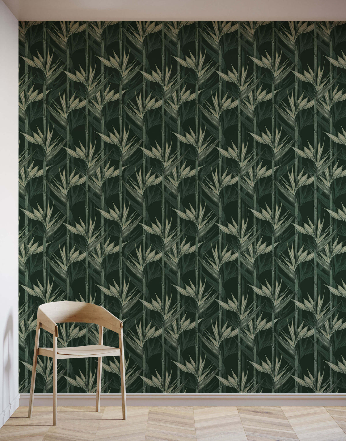 Amazonia Appearance Resembling Bird Flight Wallpaper