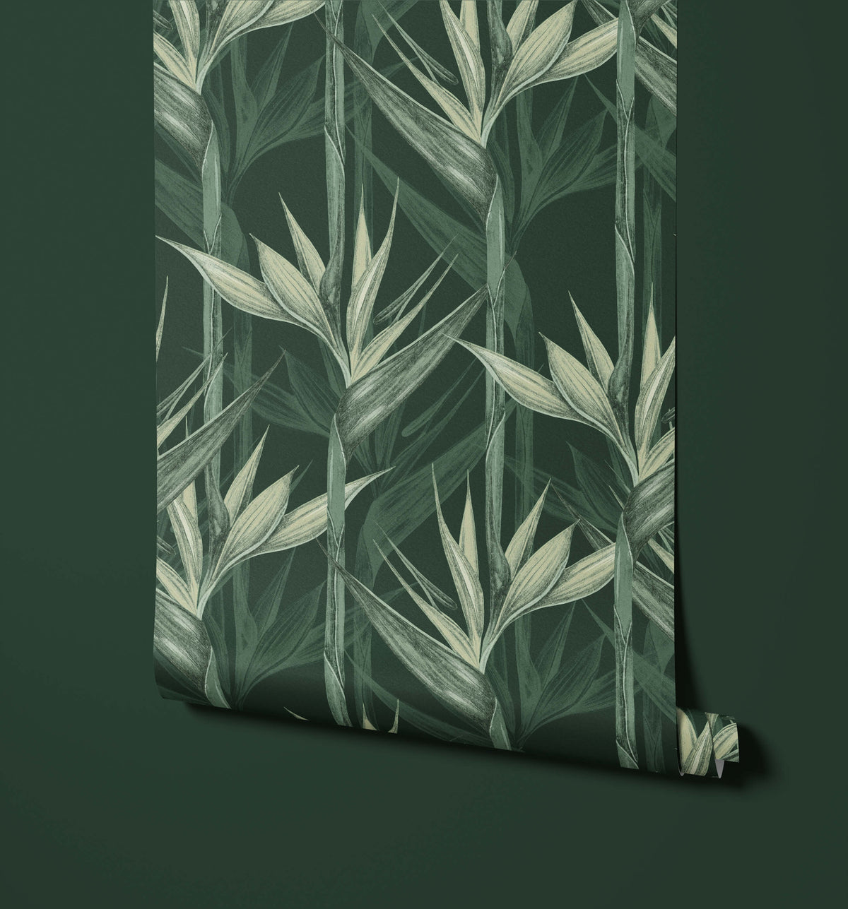 Amazonia Appearance Resembling Bird Flight Wallpaper