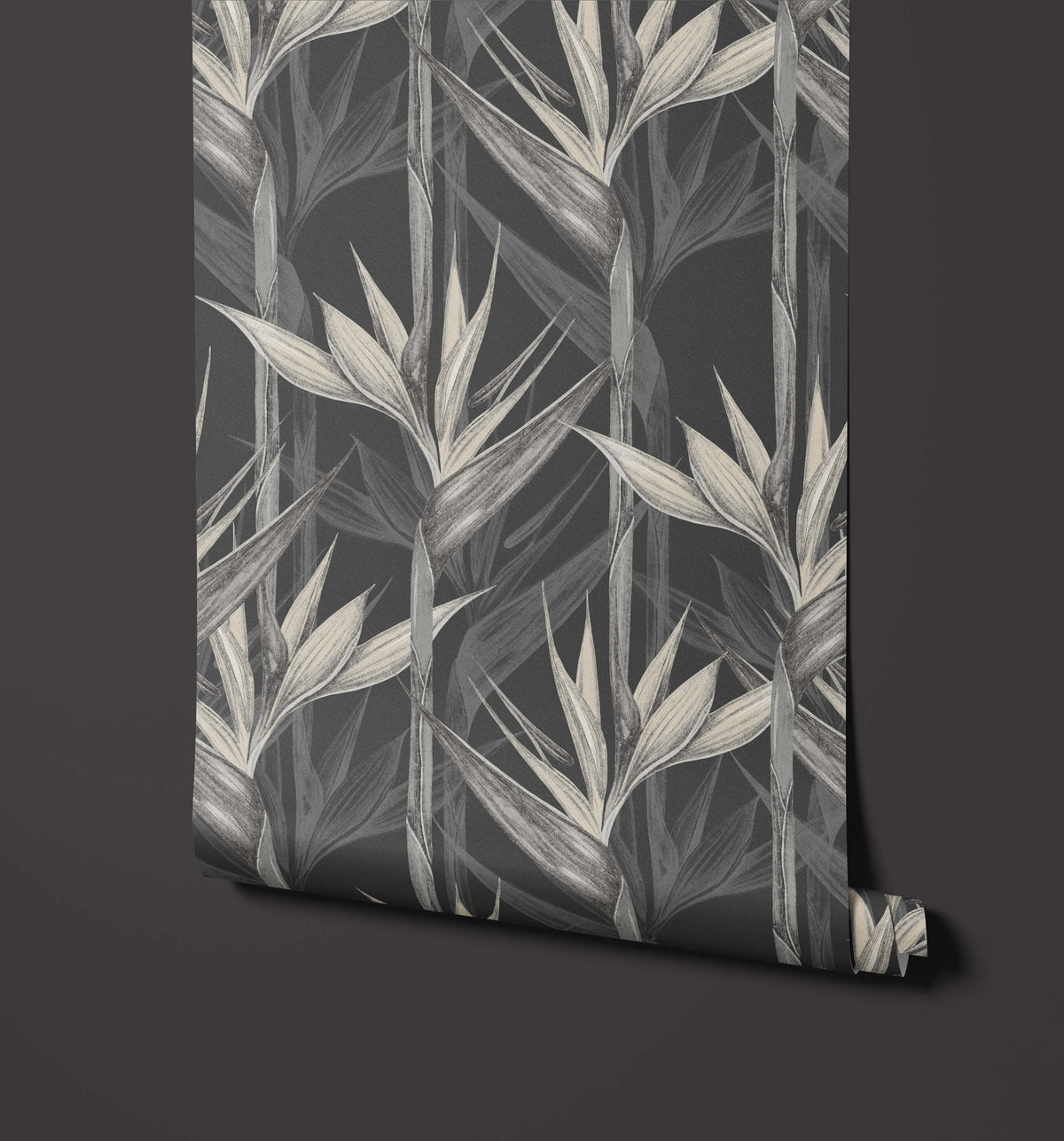 Amazonia Appearance Resembling Bird Flight Wallpaper