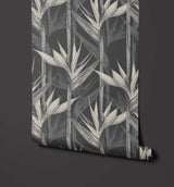 Amazonia Appearance Resembling Bird Flight Wallpaper