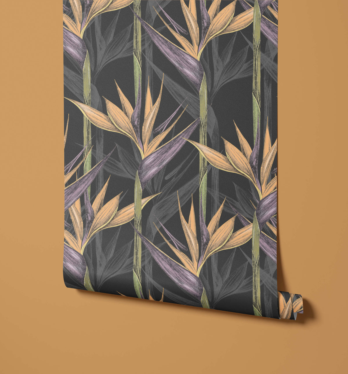 Amazonia Appearance Resembling Bird Flight Wallpaper