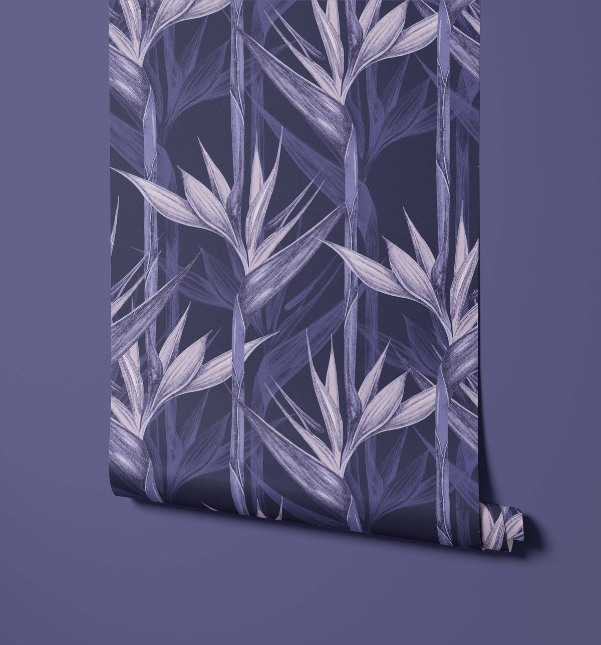 Amazonia Appearance Resembling Bird Flight Wallpaper