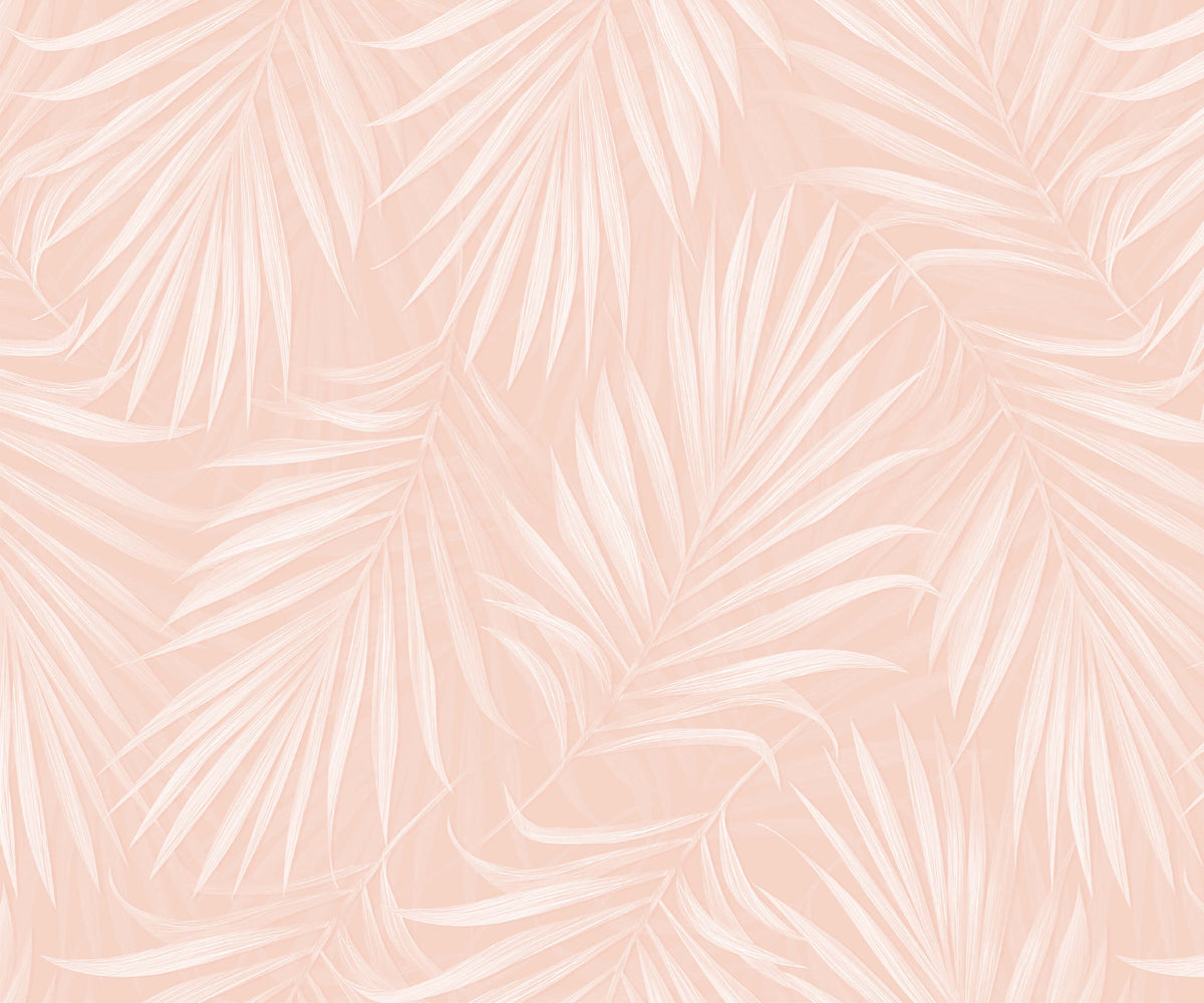 Areca Tropical Palm Wallpaper