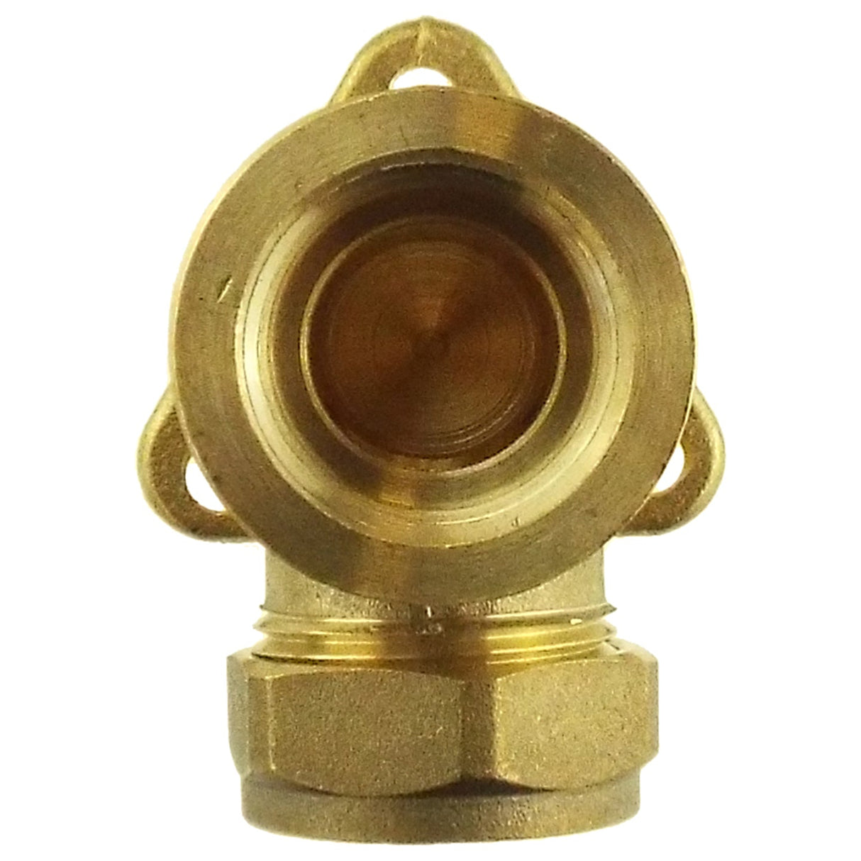 22mm Brass Wall Flange Kit with Brass Barbed Tap