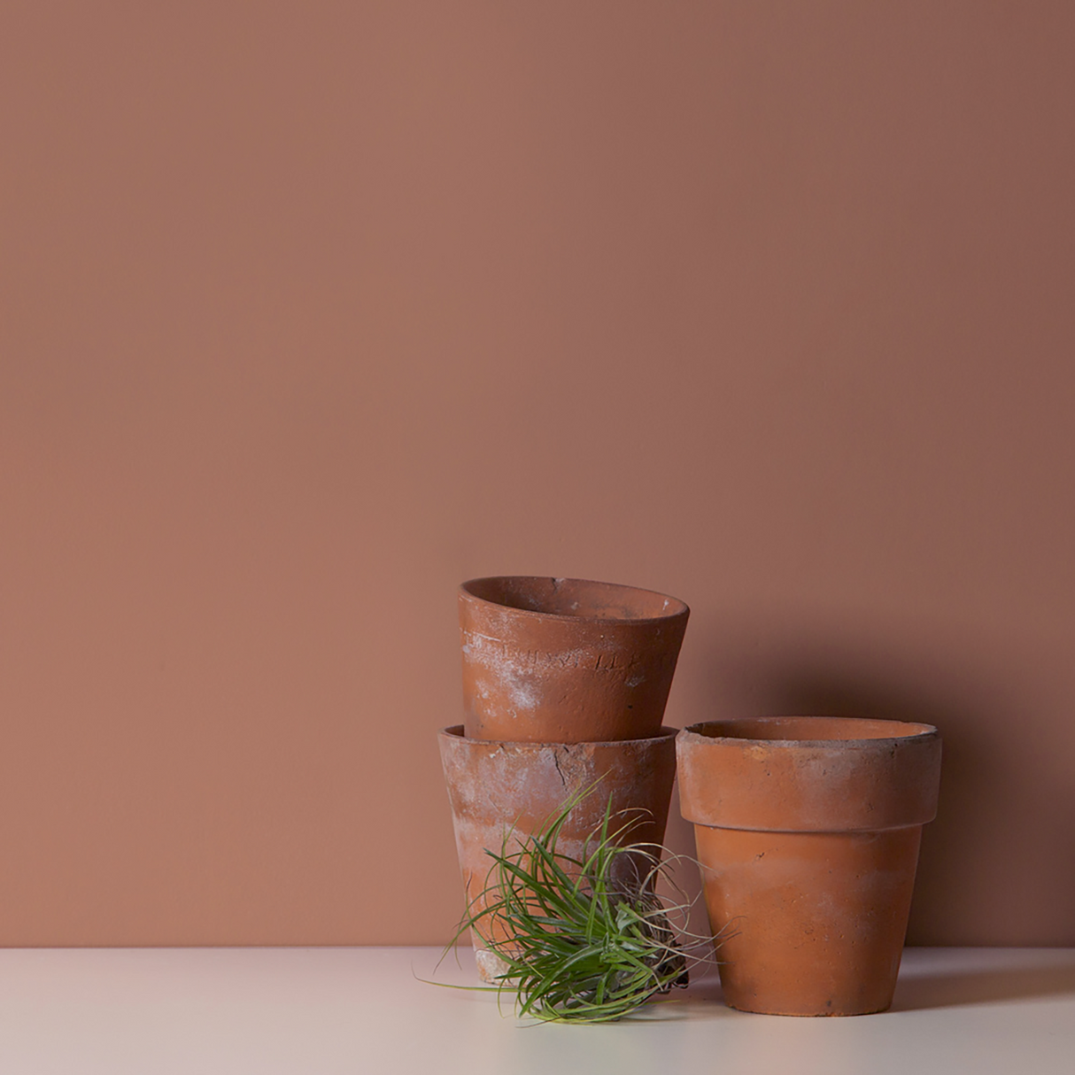 Little Knights - Baked Clay Burnt Pastel Red - Matte/Eggshell/Silk/Satin/Gloss Interior Paint