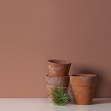 Little Knights - Baked Clay Burnt Pastel Red - Matte/Eggshell/Silk/Satin/Gloss Interior Paint