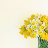 Little Knights - Buttered Scone Light Mellow Yellow - Matte/Eggshell/Silk/Satin/Gloss Interior Paint