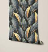 Calathea Their Unique Daily Movements Wallpaper
