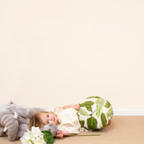 Little Knights - Crushed Apricot Neutral Toned - Matte/Eggshell/Silk/Satin/Gloss Interior Paint