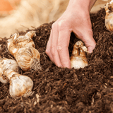 AutumnMix Compost Garden Mulch
