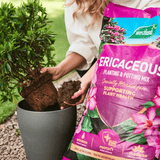 Ericaceous Planting & Potting Mix 50ltr Bulk Buy
