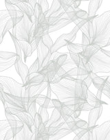 Float Actually Including Any Flowers Wallpaper