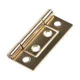 Flush Hinges - Electro Brass