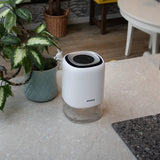 Senelux Q4 1100ml Electric Small Dehumidifier for Home | Quiet Dehumidifier for Bedrooms, Living Rooms and Kitchens