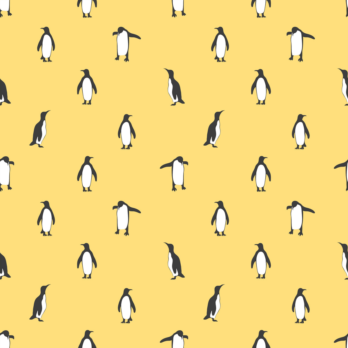 Hobart Penguin Wallpaper