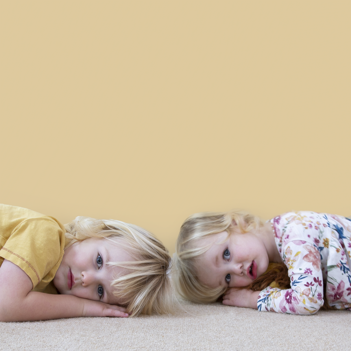 Little Knights - Honey Beige - Matte/Eggshell/Silk/Satin/Gloss Interior Paint