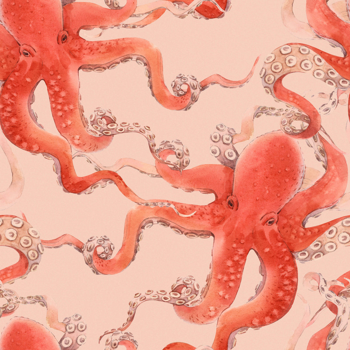 Kos Enchanting Charm Red Octopus Wallpaper