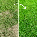 Complete Lawn Care Kit