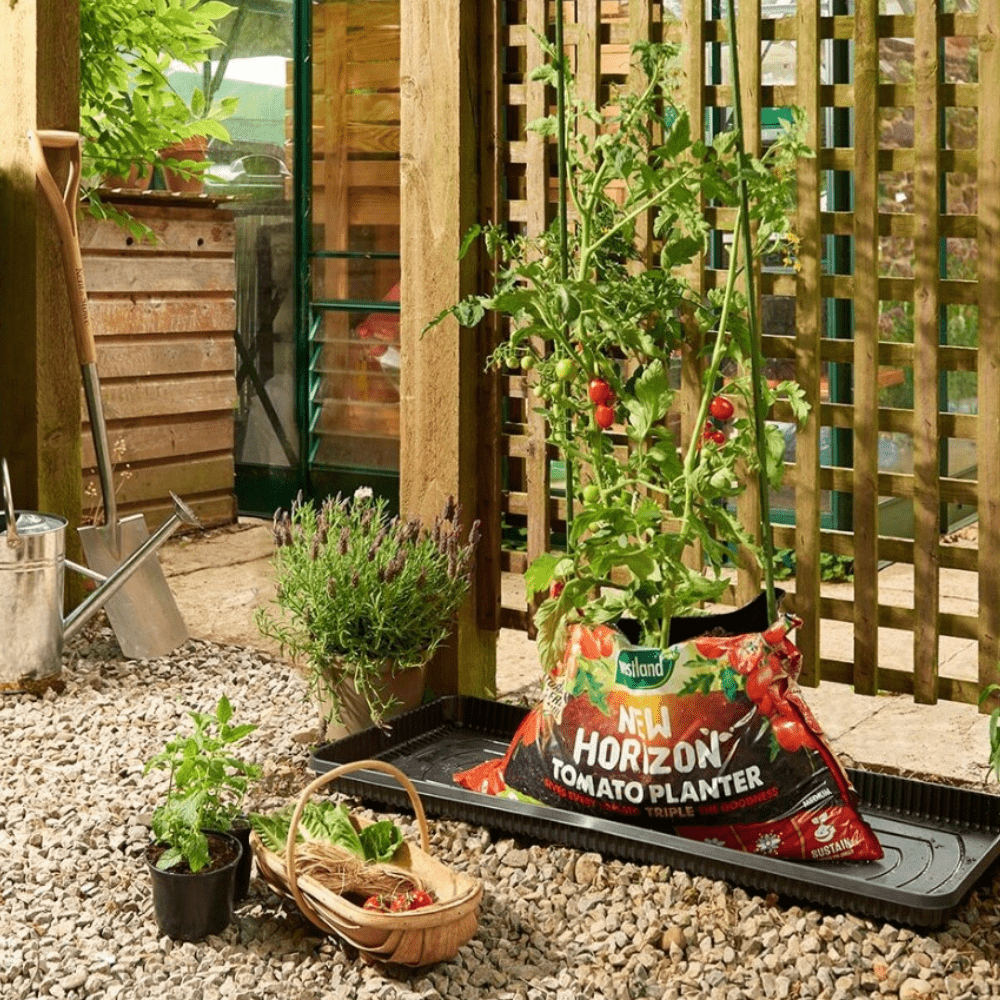 New Horizon Tomato Planter Bulk Buy