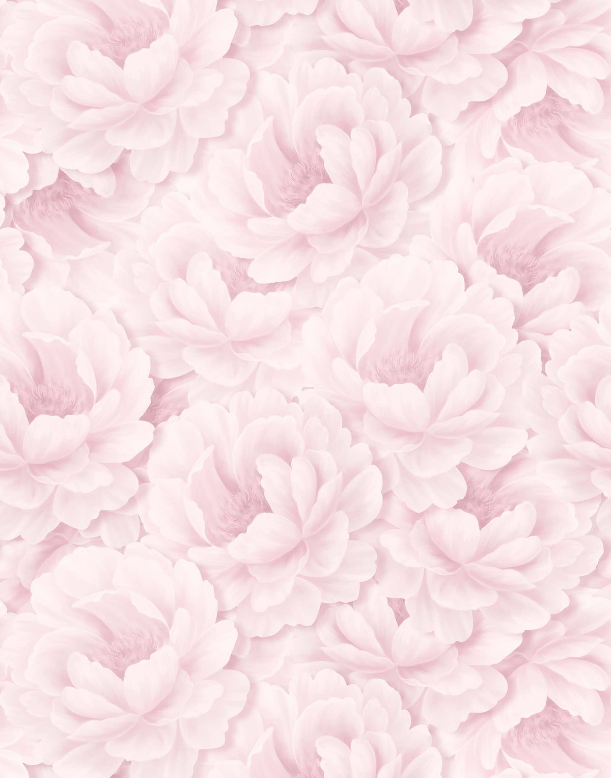 Paeonia Floral Wallpaper
