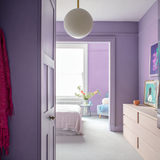 Little Knights - Periwinkle Vibrant Flower Purple - Matte/Eggshell/Silk/Satin/Gloss Interior Paint