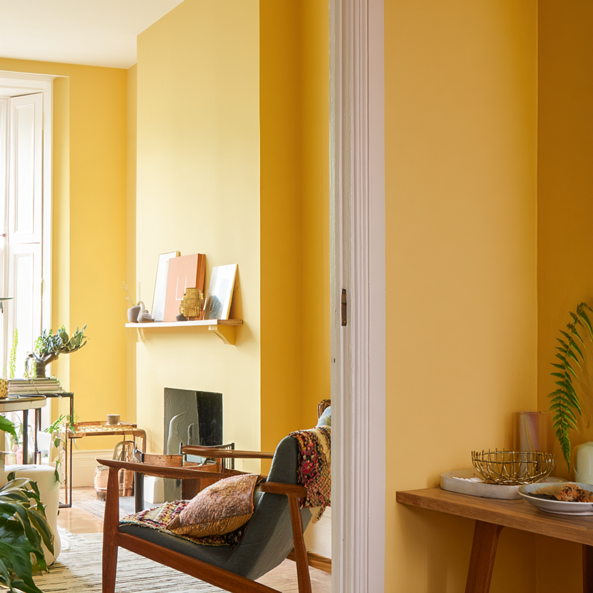 Little Knights - Persian Sands Rich Vibrant Yellow - Matte/Eggshell/Silk/Satin/Gloss Interior Paint