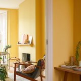 Little Knights - Persian Sands Rich Vibrant Yellow - Matte/Eggshell/Silk/Satin/Gloss Interior Paint