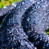 Porous Pipe Soaker Hose Cost Wise 50m